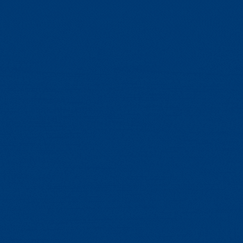 350 x 350 px