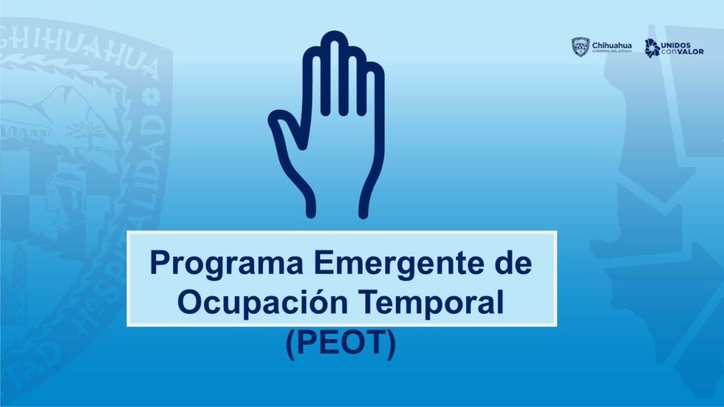 Programa emergente