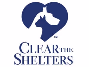 Clear the shelters square 300x225